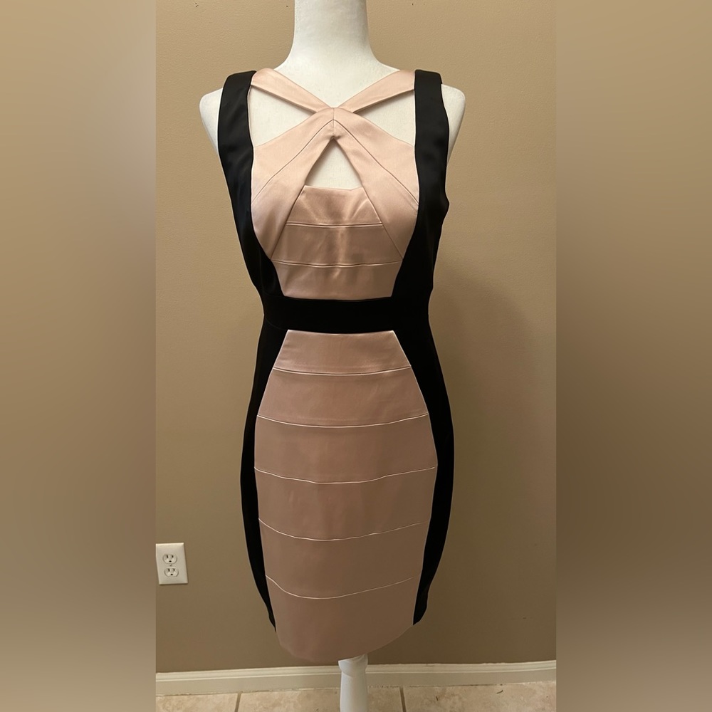 Satan dressy fitted and faltering on. (Black and Rose champagne color)